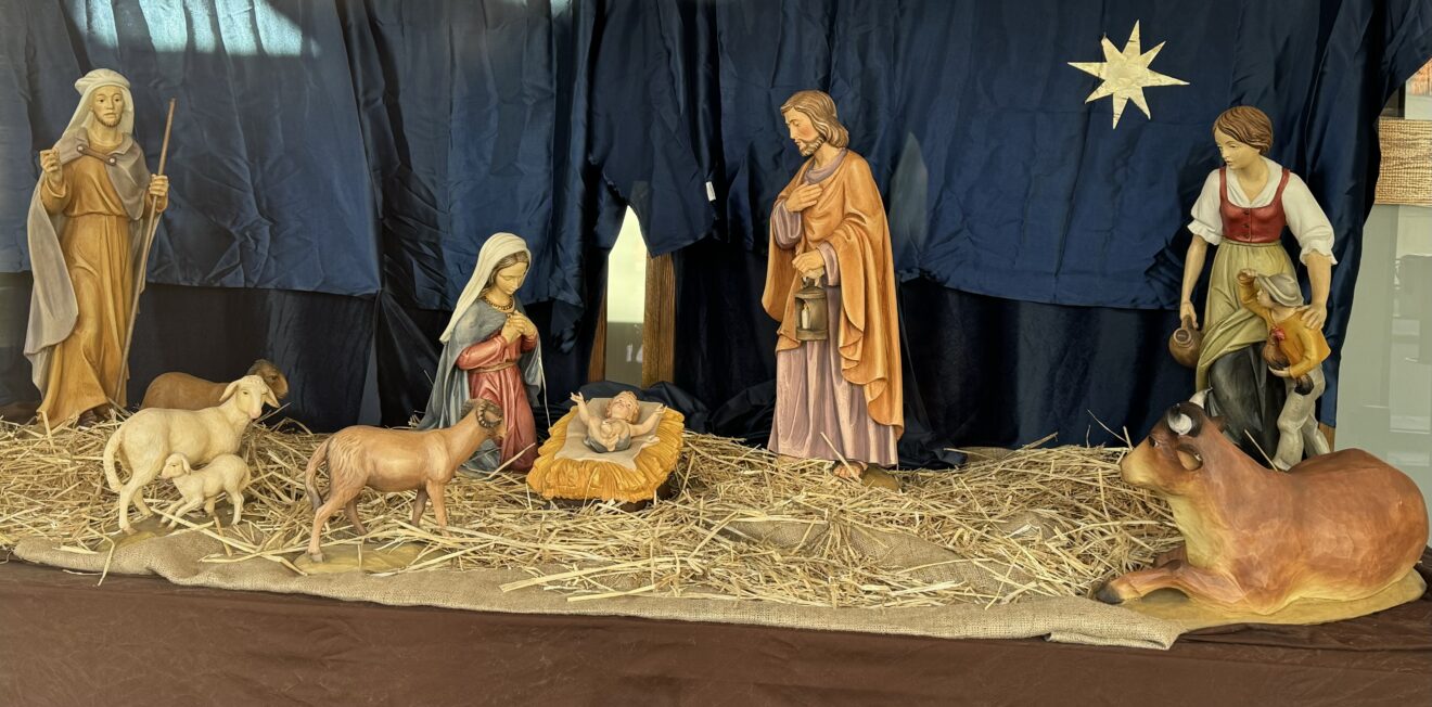Creche and Christmas tree Set up