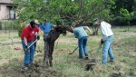 Service Orchard 6.jpg